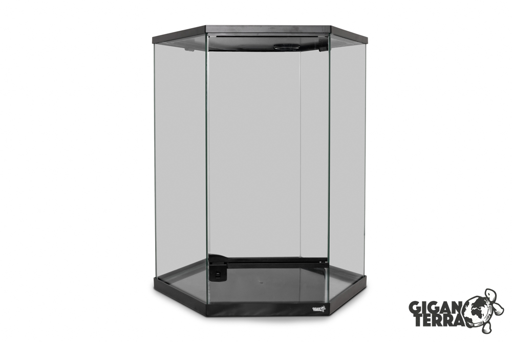 Giganterra GIGAHIVE L (49X42X57cm) – Bild 2